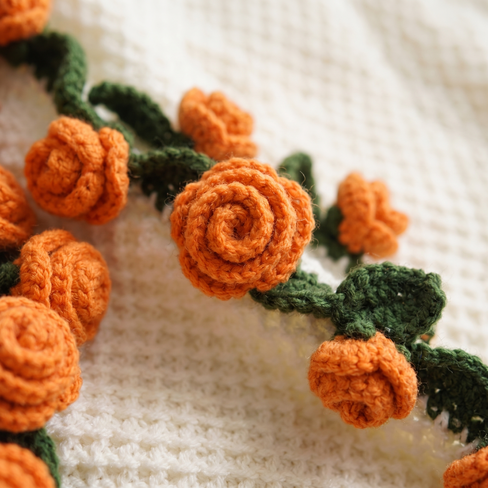Orange Roses